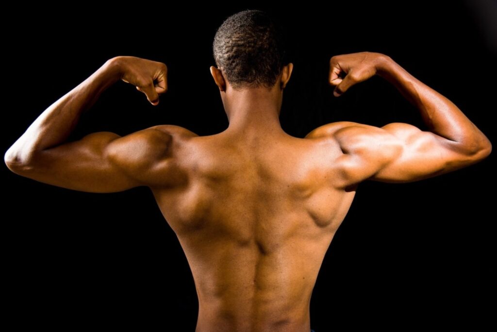 Muskeln aufbauen: Tipps für maximale Ergebnisse